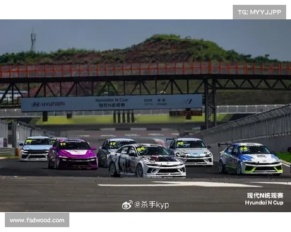 2017合肥大型赛事;合肥赛车锦标赛