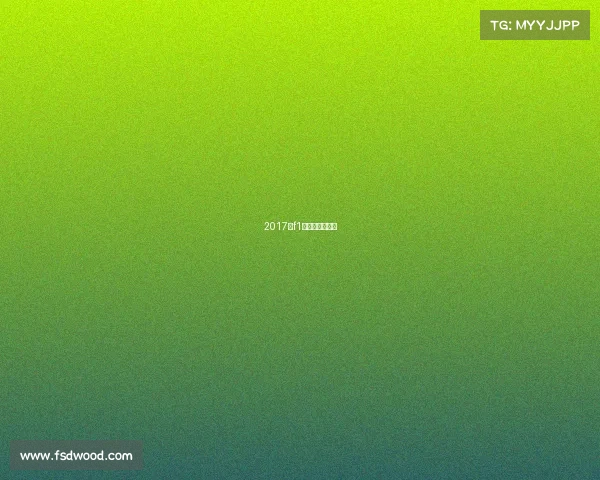 2017年f1美国大奖赛正赛