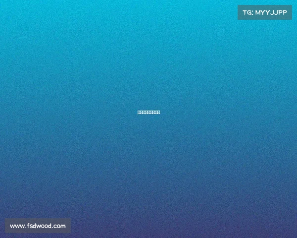 世界杯今日赛事结果